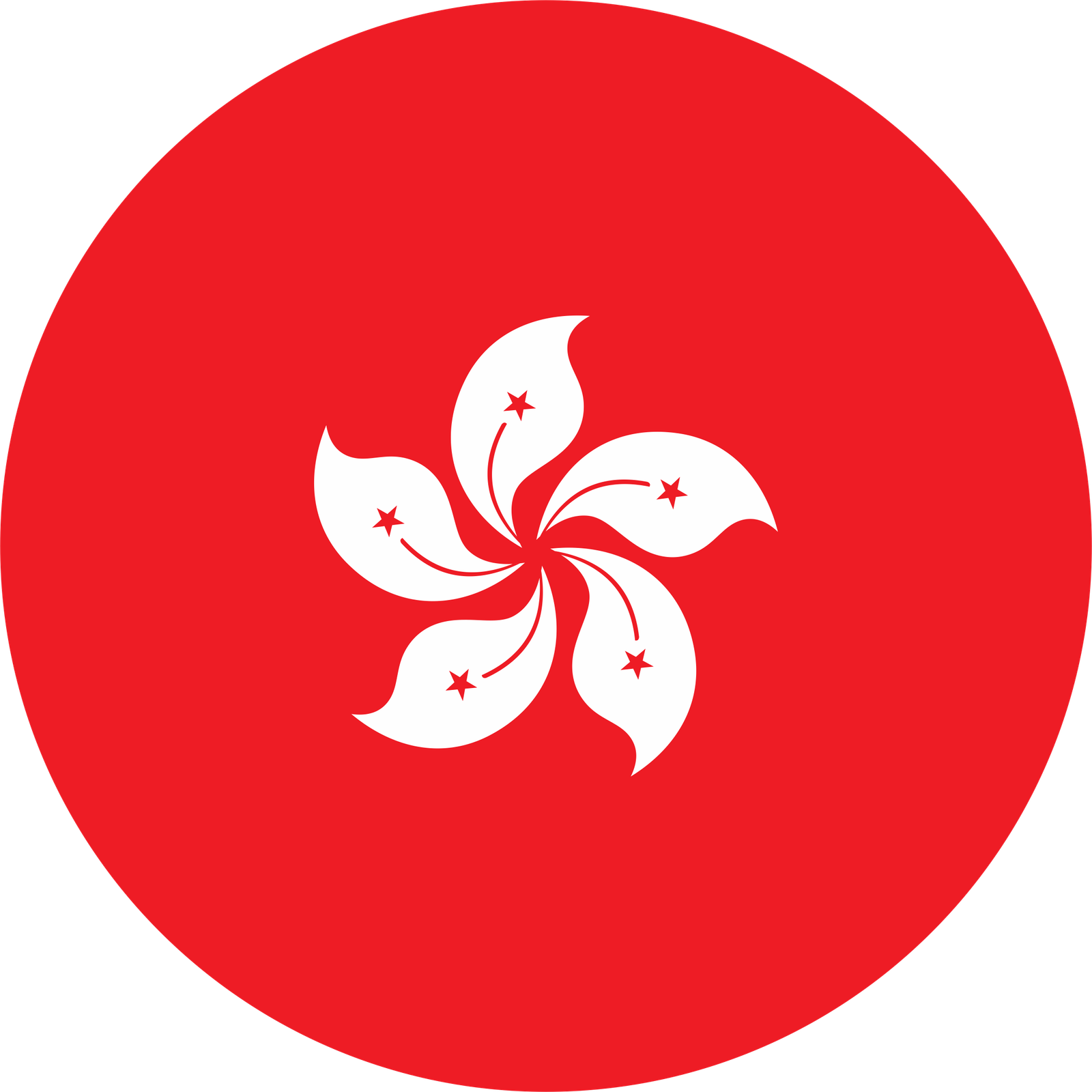Hong Kong Flag