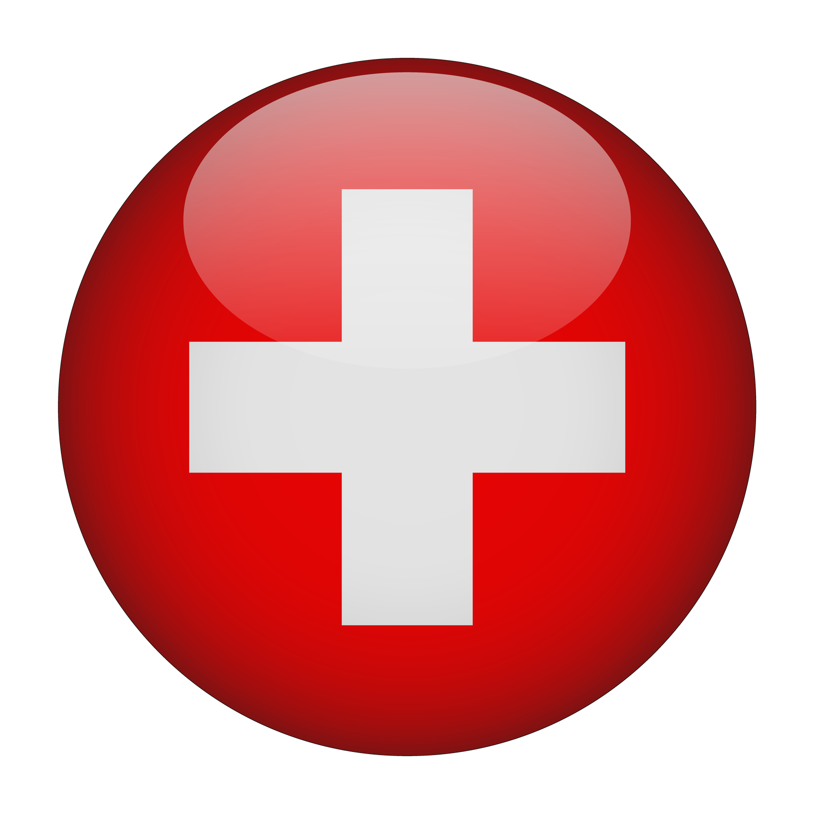 Switzerland Flag